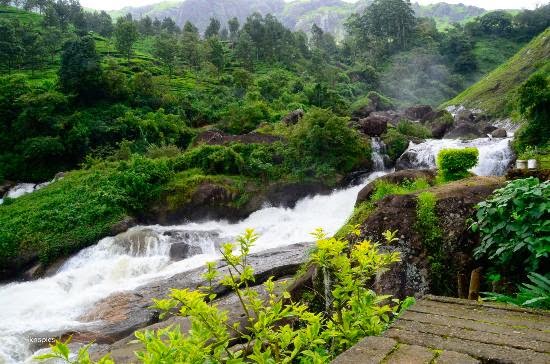 Munnar Tour packages