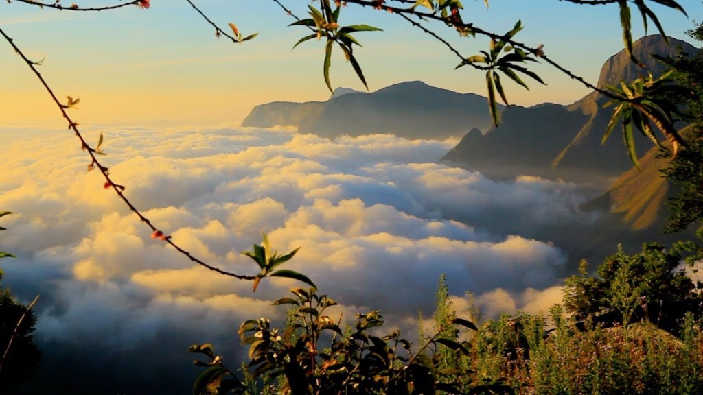 Munnar Tour Packages