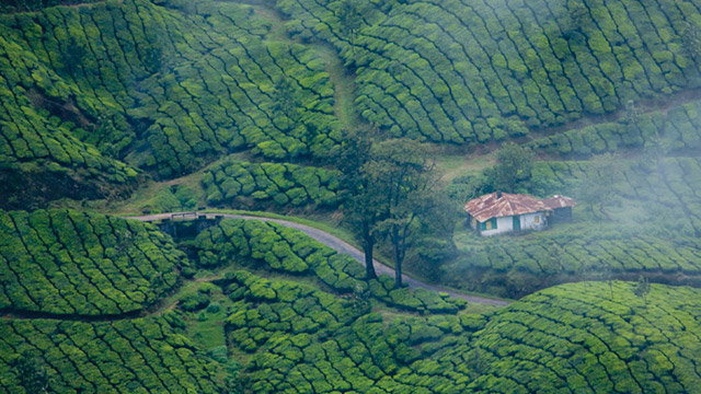 Munnar Tour Package