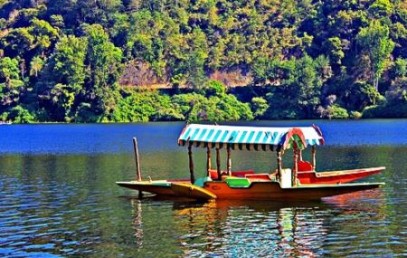 Munnar Tour packages