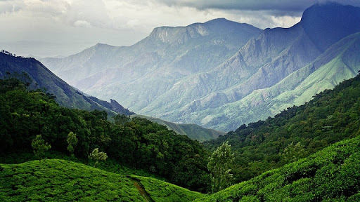 Munnar tour packages
