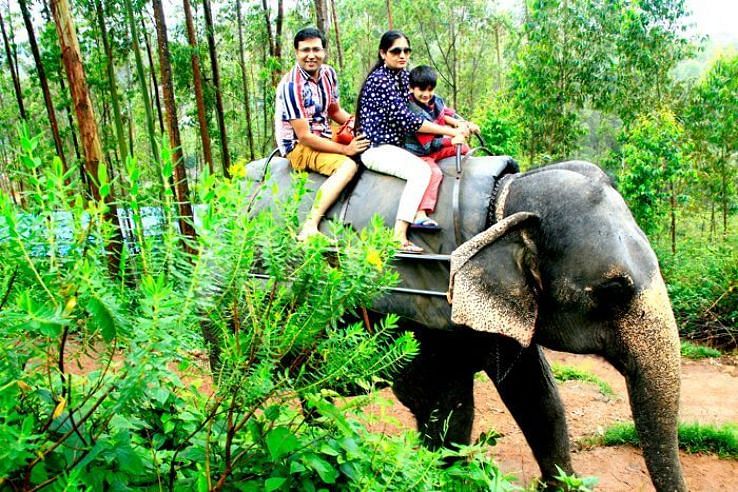 Munnar Tour Packages