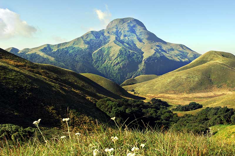 Munnar Tour Packages