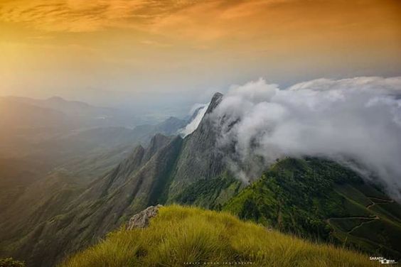 Kerala tour packages
