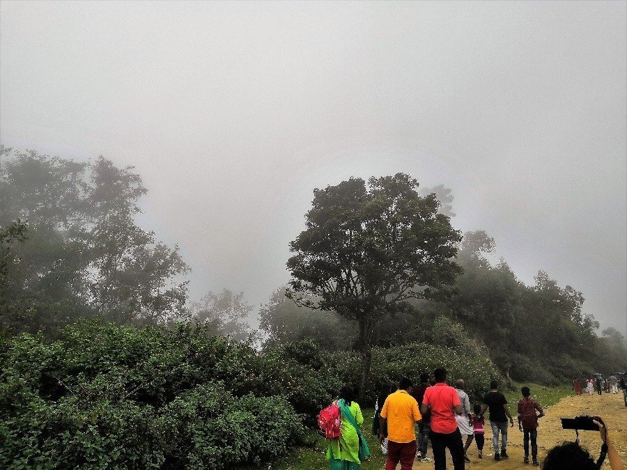Munnar Tour Packages