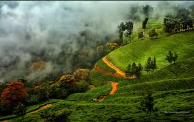 Munnar Tour packages