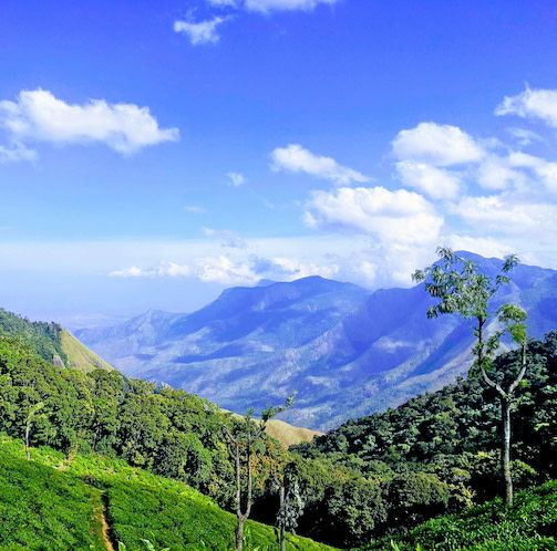 Kerala Tour Packages