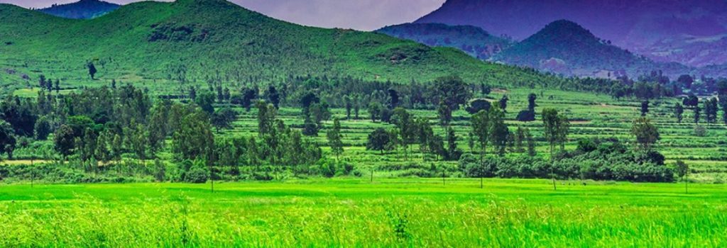 Kerala Tour Packages