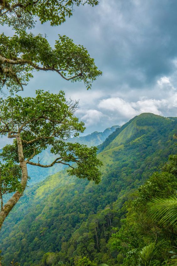 Kerala Tour Packages