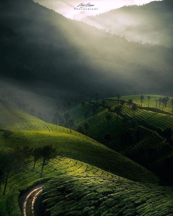 Kerala tour packages