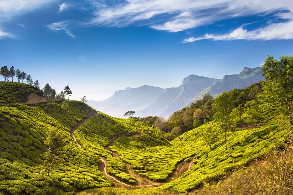 Kerala tour packages