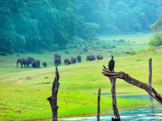 Kerala Tour Packages