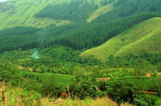 Kerala tour packages