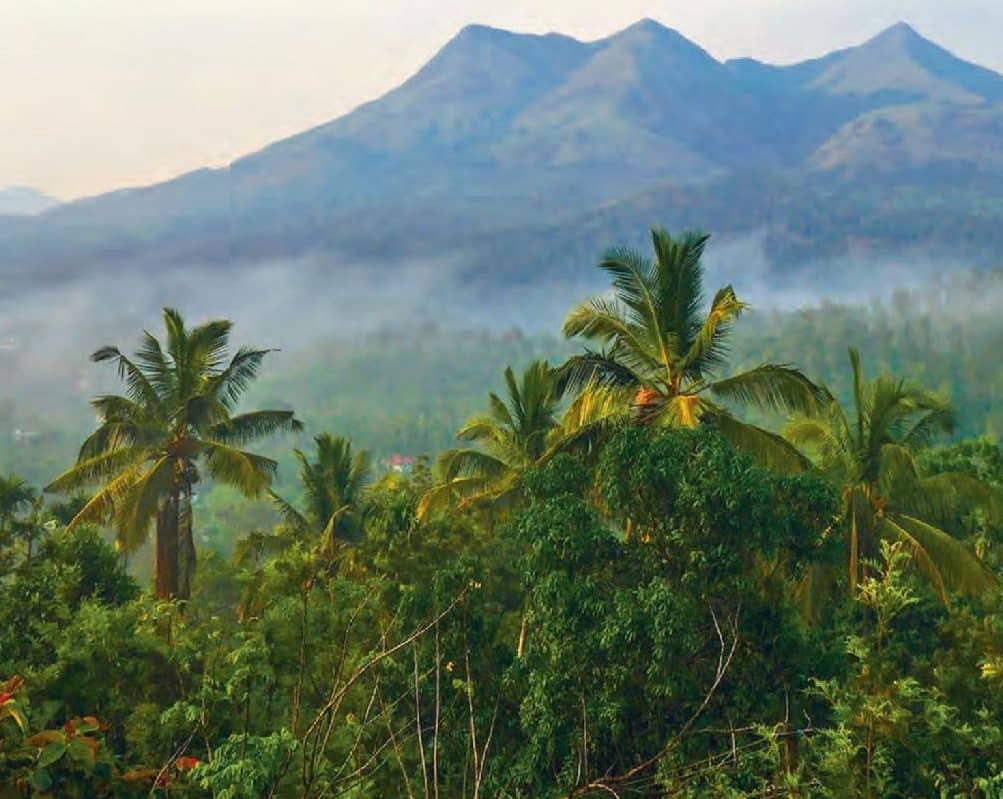 Kerala tour packages